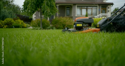 lawnmower is moving over green grass in front small cottage in summer day, man is pushing it photo