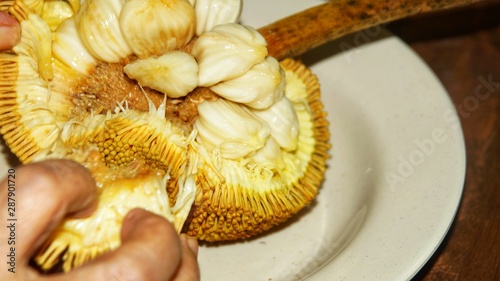 Fruits of Sabah Borneo called Buah Tarap, Timadang or Marang. Close up. Selected focus. photo