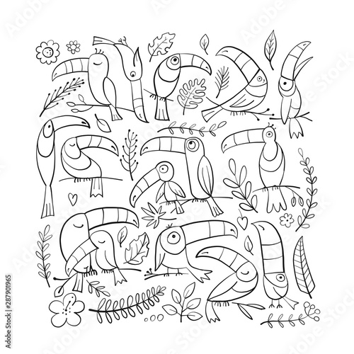 Toucans, paradise tropical bird. Coloring page for your design