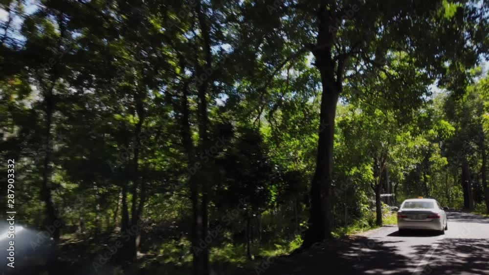 A shot from a car of a road thas crosses a tropical forest. A shot from a car of a road thas crosses a tropical forest.