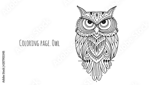 Ornate owl, coloring page for your design