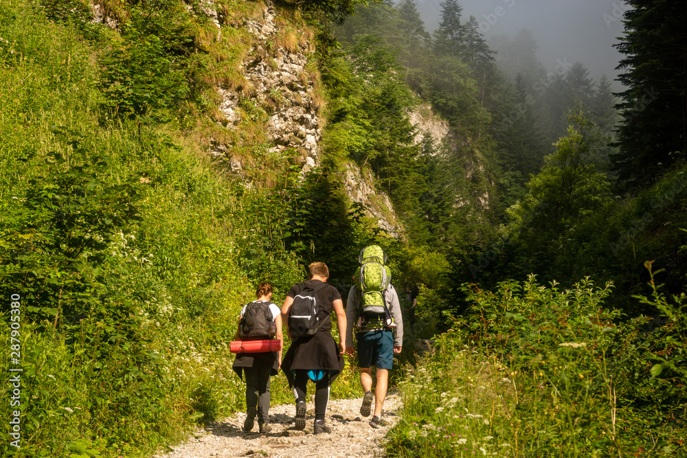 tourists wandering in the mountain gorge