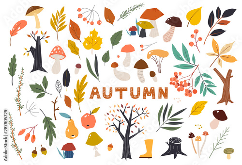 Set of colorful autumn leaves in cartoon style. Seasonal banner. September fall. October party. November sale. Doodle floral elements. Hand drawn vector botany set.