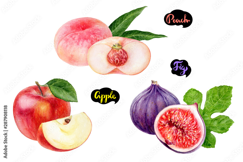 Naklejka premium Apple fig peach set fruit watercolor isolated on white background