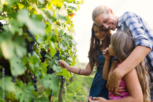 Portrait of happy people spending time in vineyard