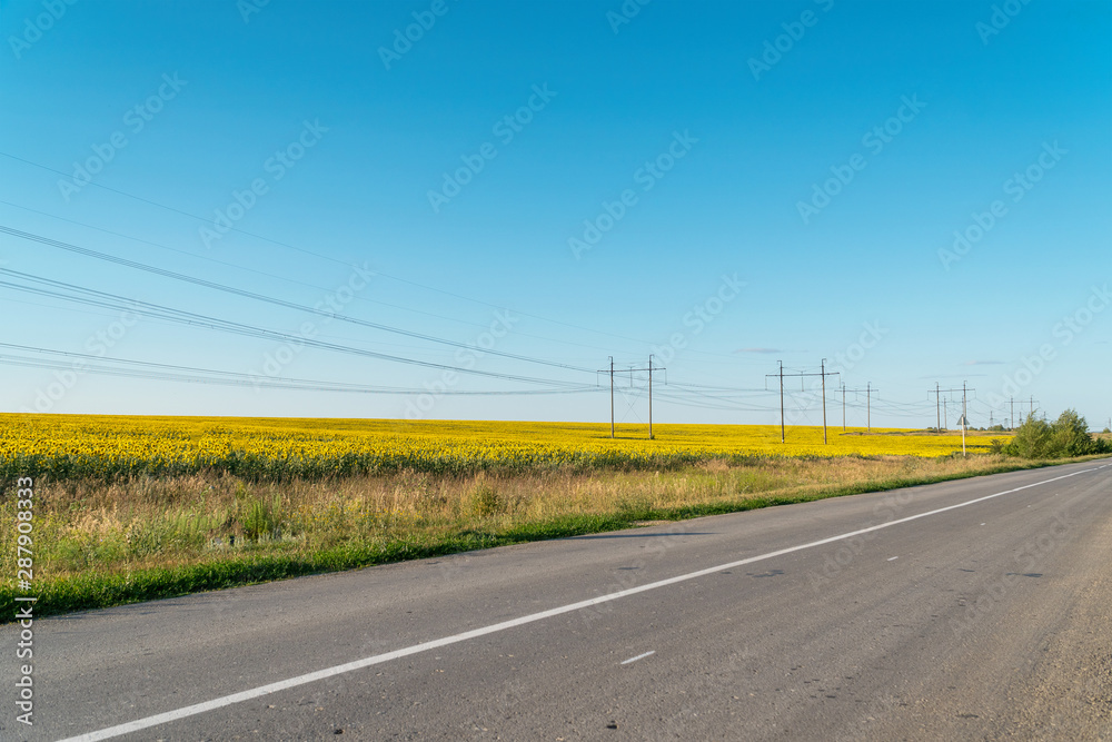 Asphalt road near the field of sunflowers against the blue sky