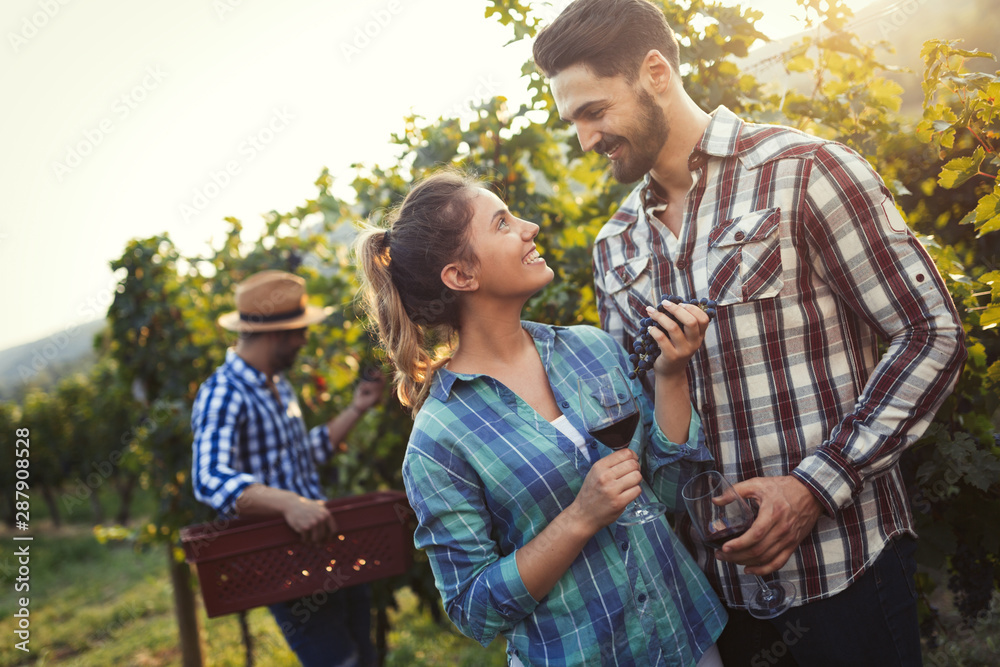Woman and man in vineyard drinking wine Woman and man in vineyard drinking wine