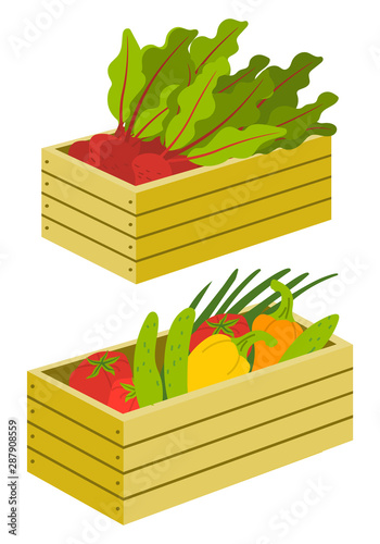 Vegetables in crate, beet and cucumber, tomato and onion, bell pepper. Rustic vegetarian products in wooden case, crop in container, ingredient vector. Flat cartoon