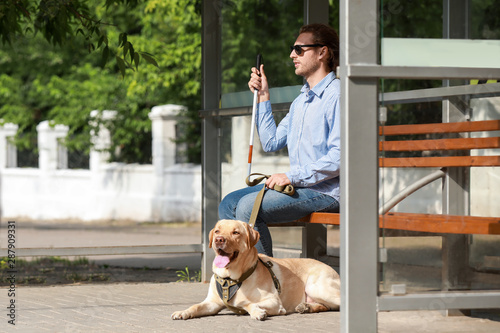 Blind young man with guide dog waiting for bus outdoors