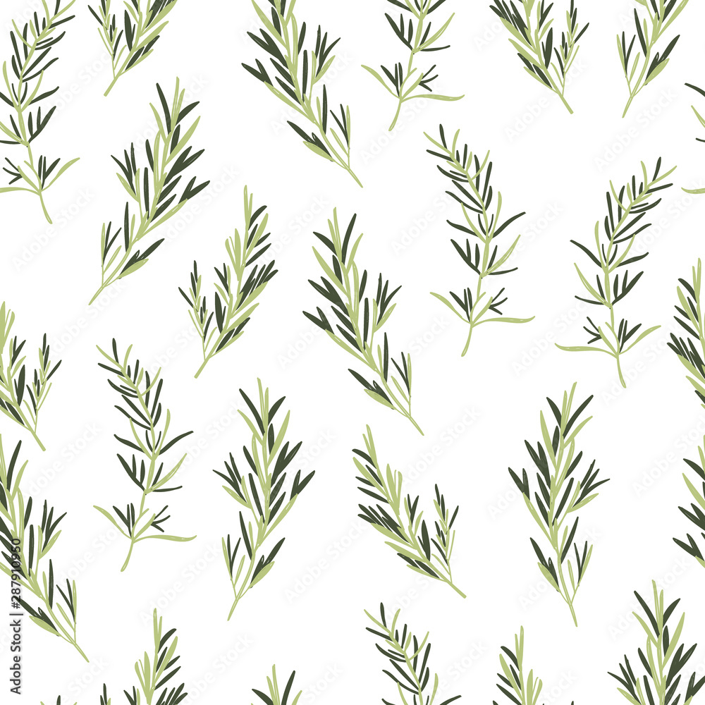 Rosemary Herbs Vector Seamless Pattern Rosemary Herbs Vector Seamless Pattern