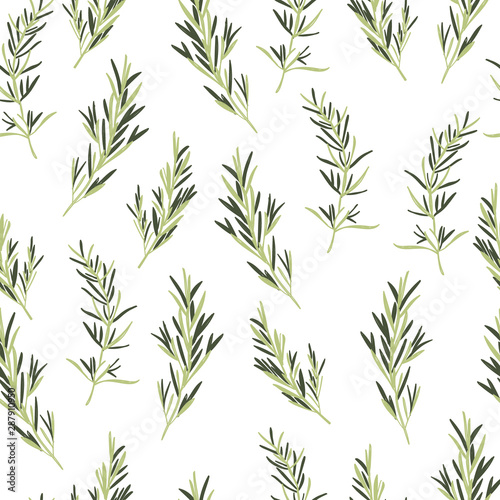 Rosemary Herbs Vector Seamless Pattern © Farijazz