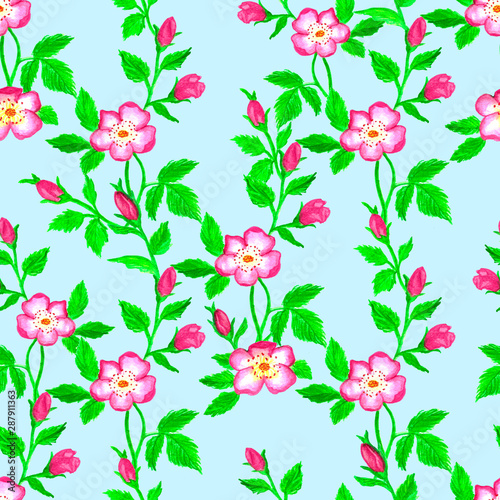 Fototapeta Naklejka Na Ścianę i Meble -  Wild roses watercolor seamless pattern. Flowers, leaves. Floral background. Fabric design, wallpaper