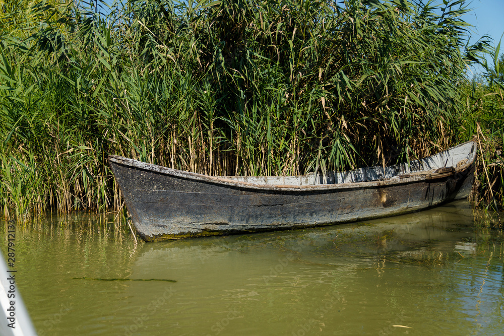 boat on the lake shore on the green background boat on the lake shore on the green background