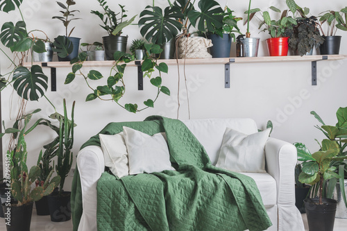 nordic style appartment with tropical flowers decoration