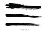 brush strokes watercolor background. vector background