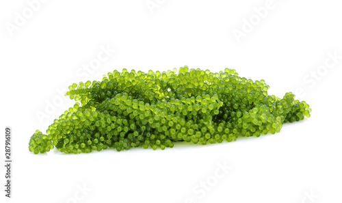 Sea grapes ( green caviar ) seaweed isolated on white background