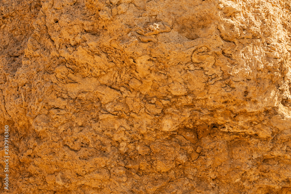 Fossil corals of the Red Sea. Ancient creatures, turned into stone. Fossil corals of the Red Sea. Ancient creatures, turned into stone.