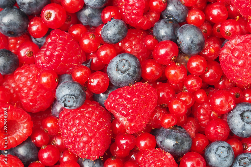 Beeren-Mischung: Blaubeeren, Himbeeren, Johannisbeeren Beeren-Mischung: Blaubeeren, Himbeeren, Johannisbeeren