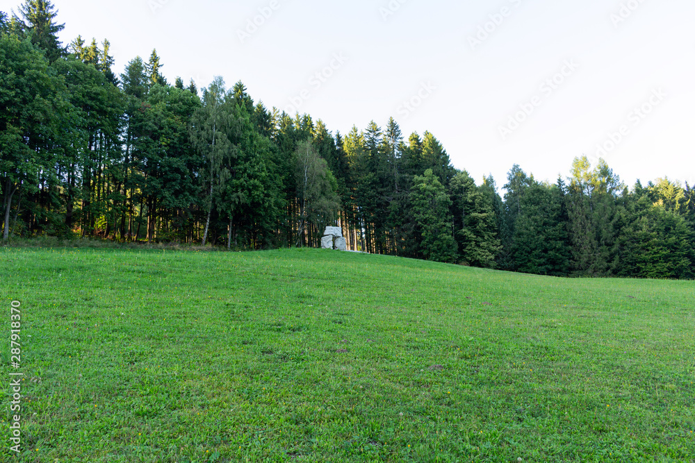Landscape with pine forests in the mountains in summer