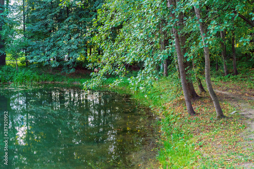 Picturesque lake among green trees. Forest pond surrounded by trees.