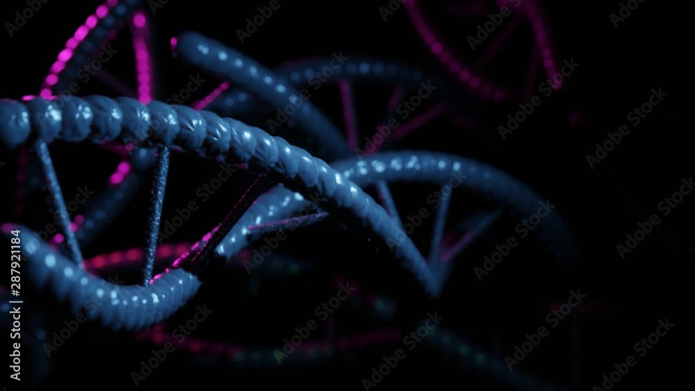 3D rendered loopable animation of rotating DNA molecule on black background. Biology, biotechnology, chemistry, science, medicine, cosmetics, motion background, medical animation.4K Seamless Loop. 3D rendered loopable animation of rotating DNA molecule on black background. Biology, biotechnology, chemistry, science, medicine, cosmetics, motion background, medical animation.4K Seamless Loop.