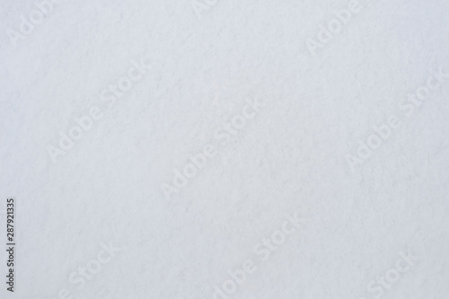 White background with bluish-gray tint of soft snow surface