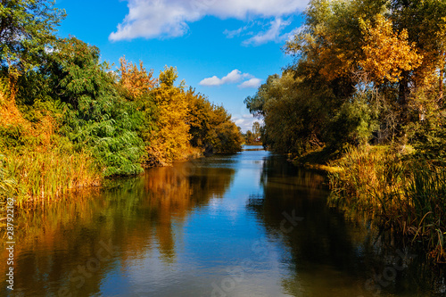 Fototapeta Naklejka Na Ścianę i Meble -  small river in the countryside on a autumn day