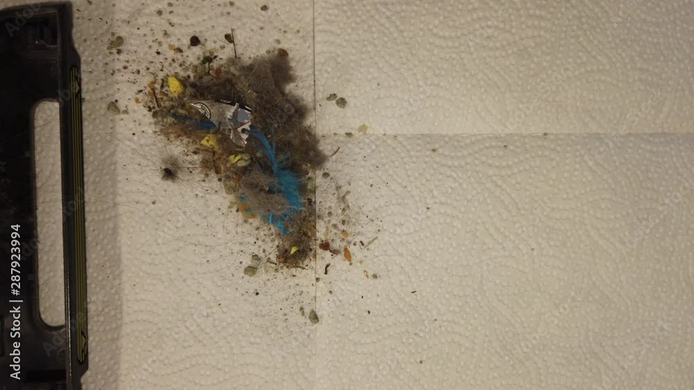 Vacuum Bin Reveals Dust and Dirt from House 4K Vacuum Bin Reveals Dust and Dirt from House 4K