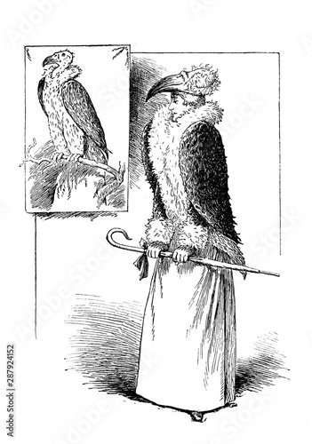 Fényképezés German satirical magazine: condor  dress, fashion caricature