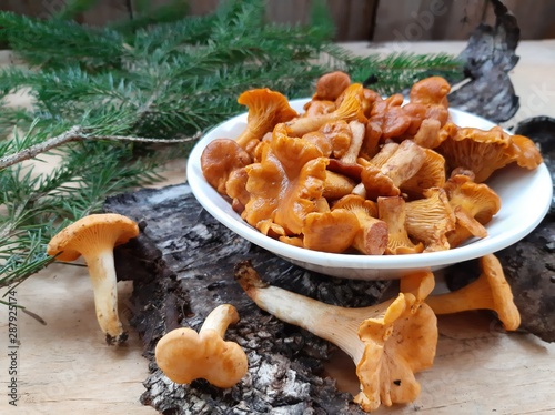 Chanterelle mushrooms pickled or salted. Cooked chanterelle mushrooms. Mushroom appetizer. Edible forest mushrooms.