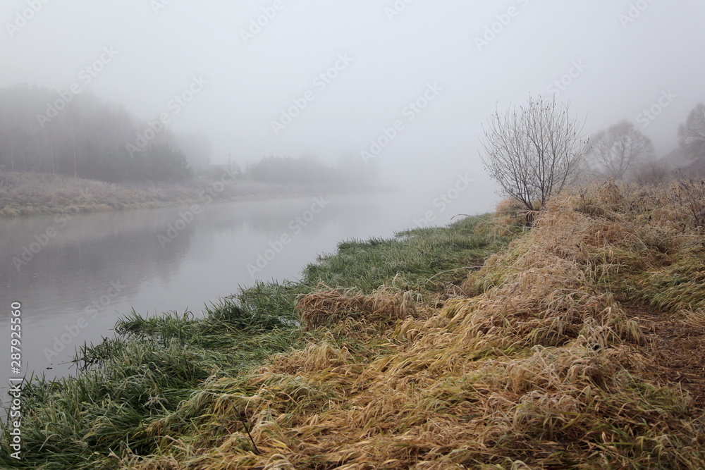 what is there in the fog? what is there in the fog?