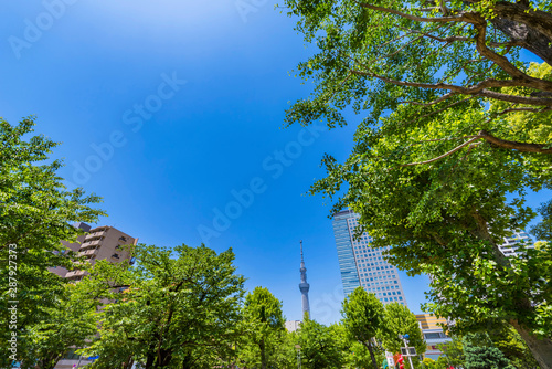 錦糸公園の風景 photo