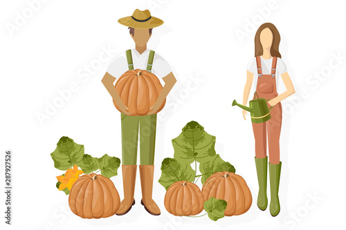 Man and woman pumpkin harvest Vector flat style. Growing autumn vegebtables