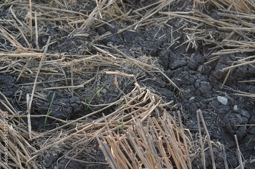 dry ground agriculture background photo