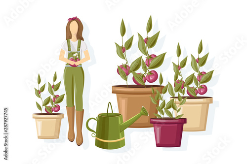 Woman working in the greenhouse Vector flat style. Growing plants and flowers