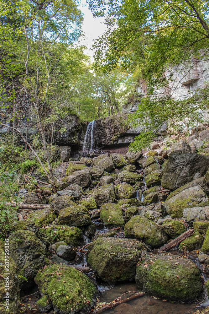 rocks in the forest