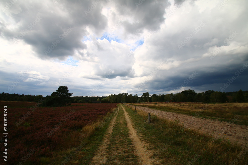 Die Ruhe vor dem Sturm, Unwetter in der Heide Die Ruhe vor dem Sturm, Unwetter in der Heide
