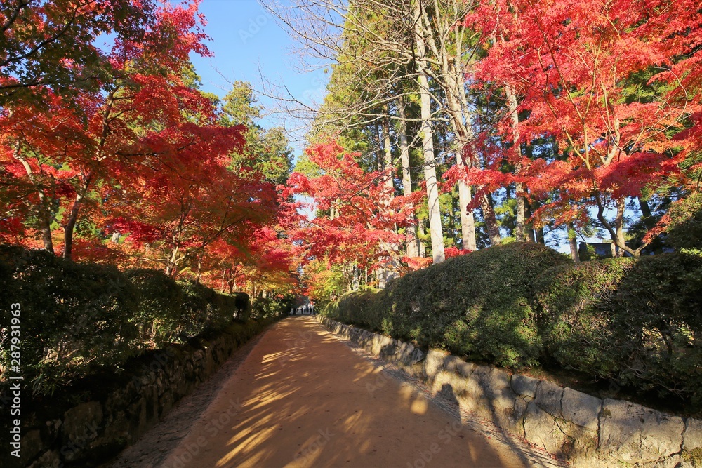 高野山の紅葉 高野山の紅葉