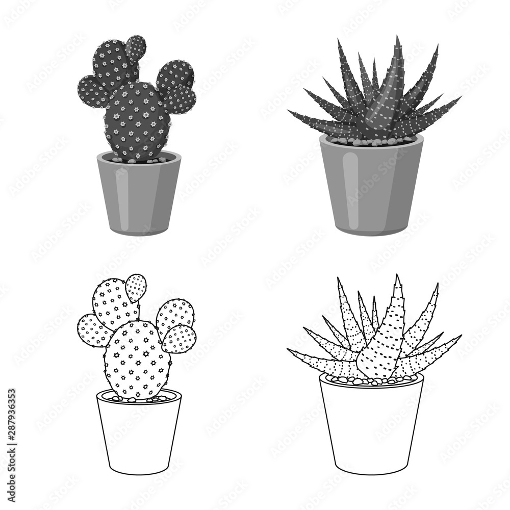 Vector design of cactus and pot icon. Collection of cactus and cacti stock vector illustration. Vector design of cactus and pot icon. Collection of cactus and cacti stock vector illustration.