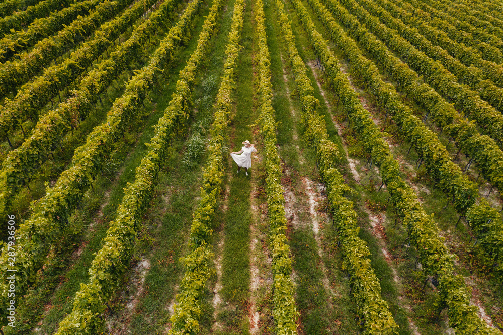 Fototapeta premium Aerial view of beautiful girl in hat stands on large vineyard plantation.