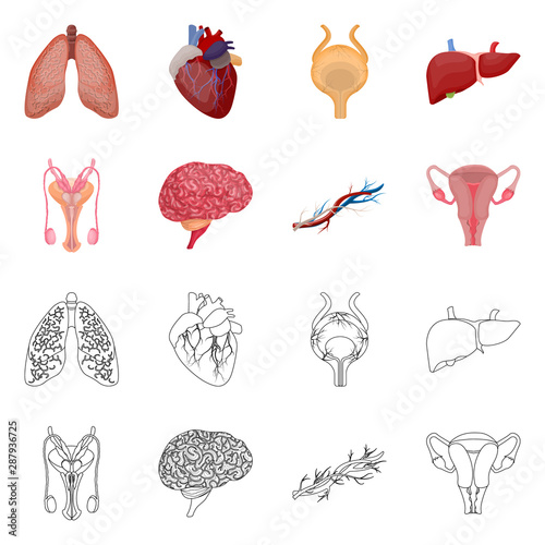 Isolated object of body and human logo. Collection of body and medical stock vector illustration.