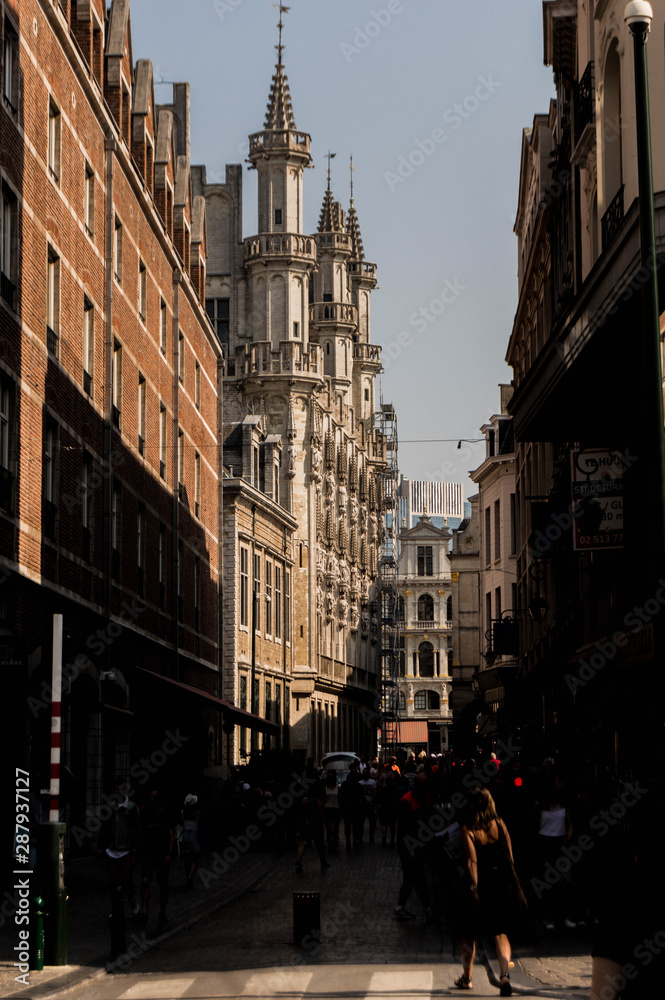Fototapeta premium Street view of some Buildings in the center of Brussels.