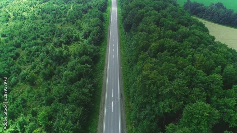 Aerial view of empty road enclosed by dense planted trees and fruitful fields. 4K. Aerial view of empty road enclosed by dense planted trees and fruitful fields. 4K.