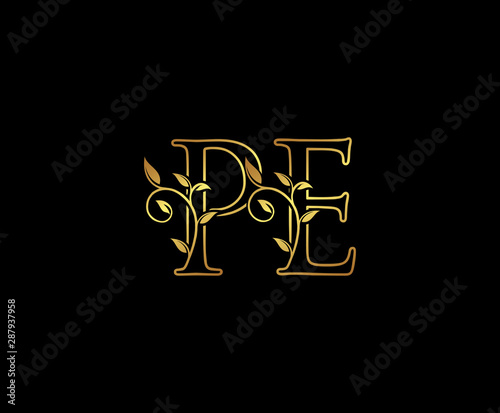 Initial letter P and E, PE, Gold Logo Icon, classy gold letter monogram logo icon suitable for boutique,restaurant, wedding service, hotel or business identity.
