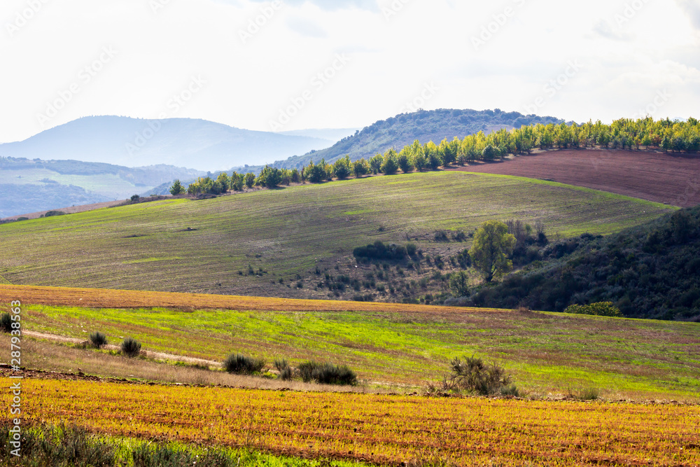 Wonderful landscape of Trás-os-Montes, Portugal. Landscape with wheat field and blue sky.