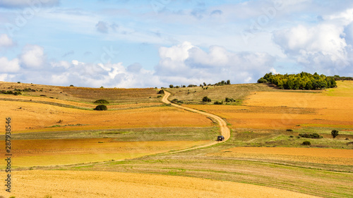Rural landscape with wheat field and blue sky at Trás-os-Montes, Portugal