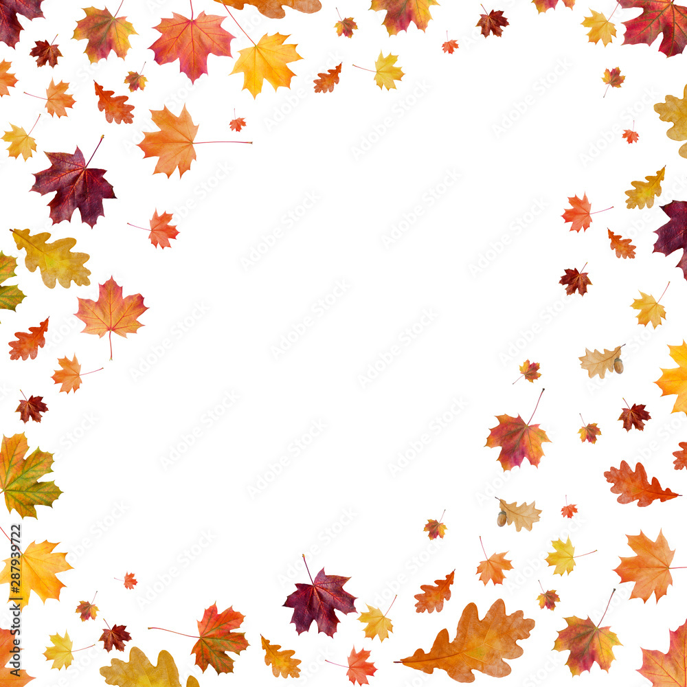 Autumn background with golden maple and oak leaves. Autumn background with golden maple and oak leaves.
