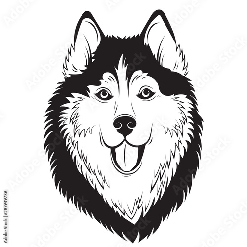 Husky logo. Portrait of a husky. Black and white dog head. Illustration of a pet. Tattoo.