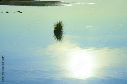 Fototapeta Naklejka Na Ścianę i Meble -  Grass sprouted on the lake and shallows in the distance. Sun reflecting in the water. The calm atmosphere of a summer morning.