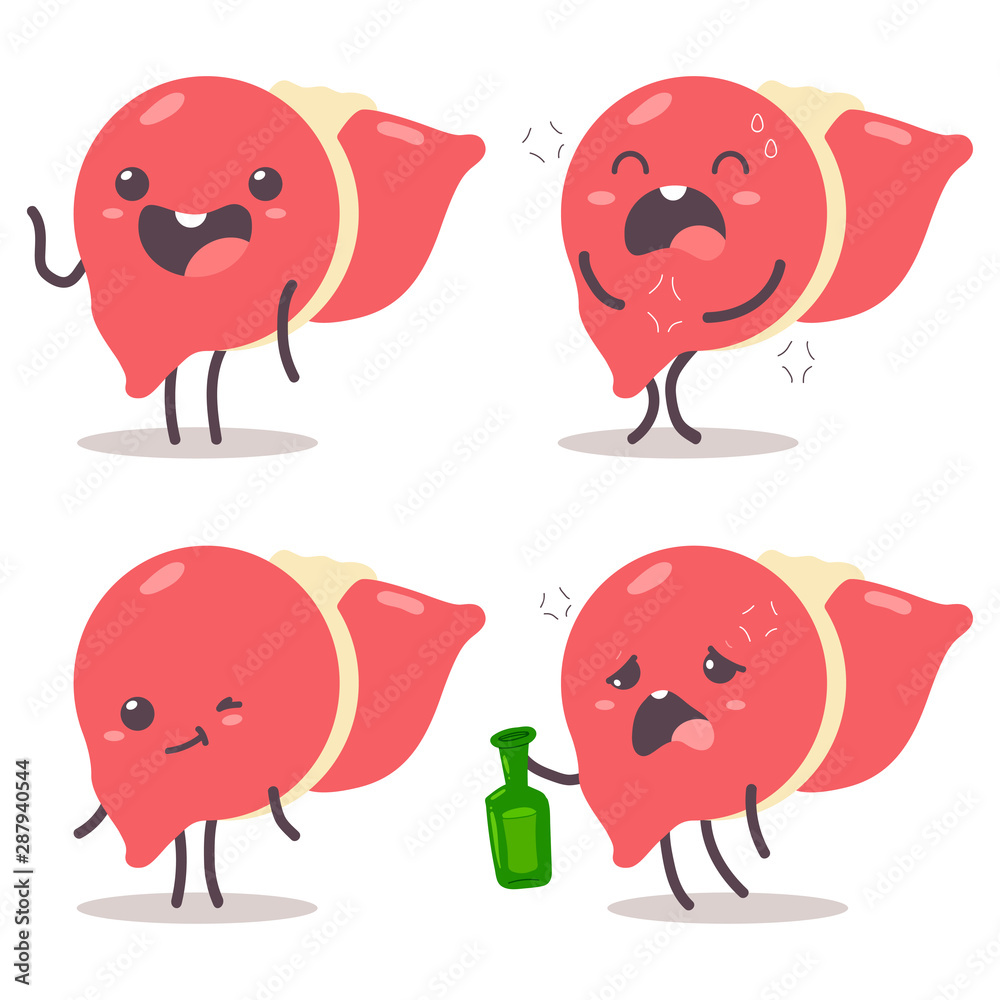 Cute liver vector cartoon characters set isolated on a white background. Stock Vector | Adobe Stock Cute liver vector cartoon characters set isolated on a white background. Stock Vector | Adobe Stock